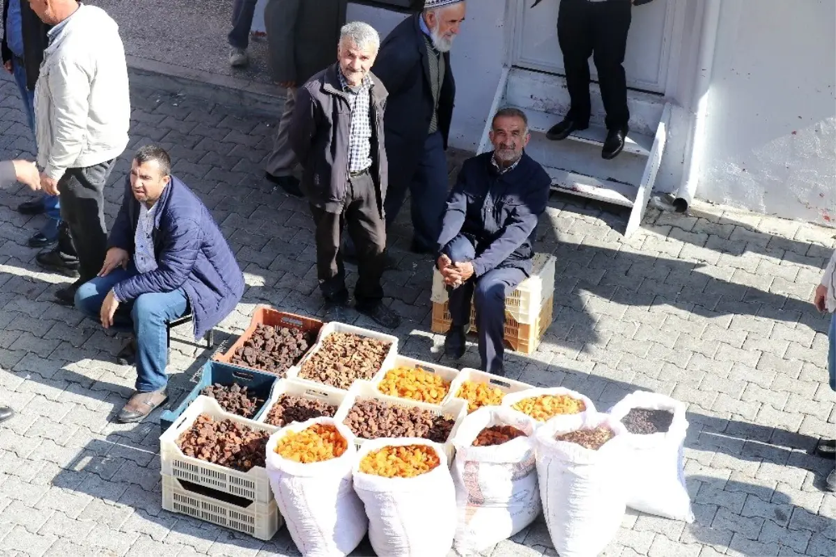 Bakan Pakdemirli'nin açıklamaları Malatyalı kayısı üreticilerini sevindirdi