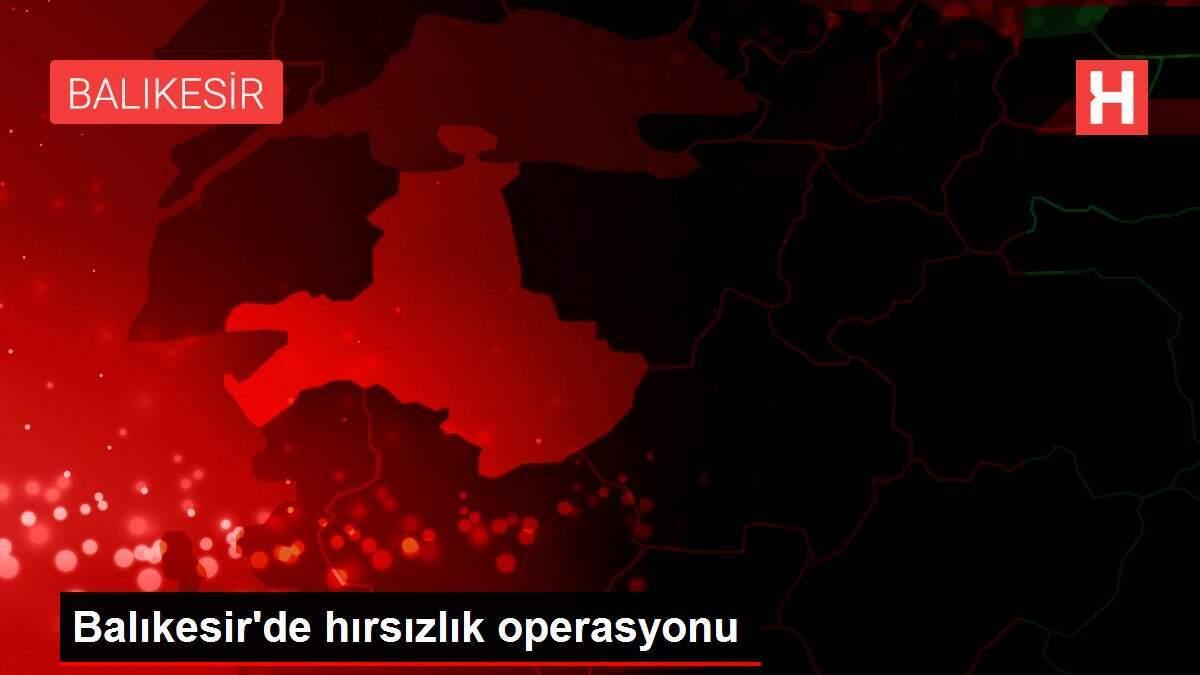 Balıkesir'de hırsızlık operasyonu