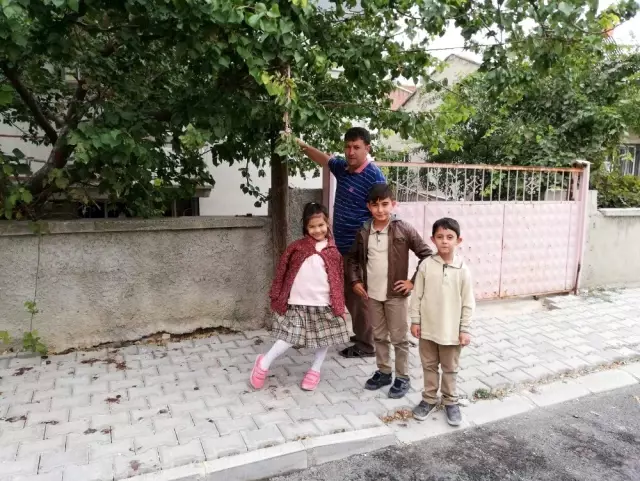 Beşik gibi sallanıyor Beşik gibi sallanıyor