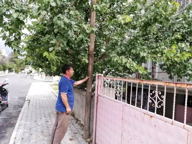 Beşik gibi sallanıyor Beşik gibi sallanıyor