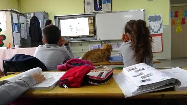 'Boncuk', sınıfın maskotu oldu 'Boncuk', sınıfın maskotu oldu