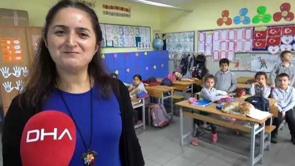 'Boncuk', sınıfın maskotu oldu 'Boncuk', sınıfın maskotu oldu