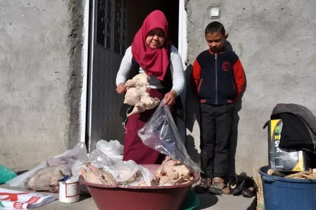 Tanesi 200 liradan satılan kazlar, kesilmeye başlandı Tanesi 200 liradan satılan kazlar, kesilmeye başlandı