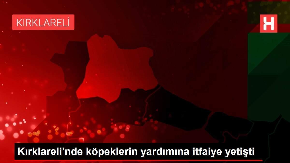 Kırklareli'nde köpeklerin yardımına itfaiye yetişti