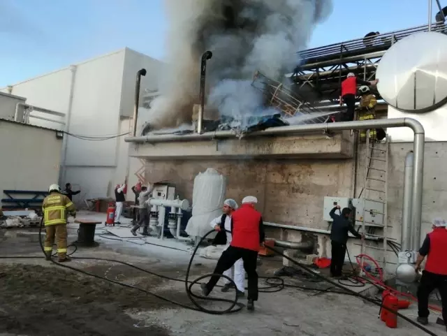 Süt fabrisasında yangın Süt fabrisasında yangın