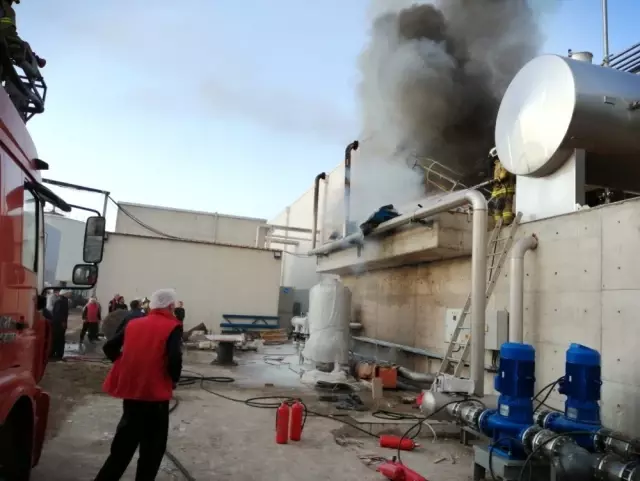 Süt fabrisasında yangın Süt fabrisasında yangın