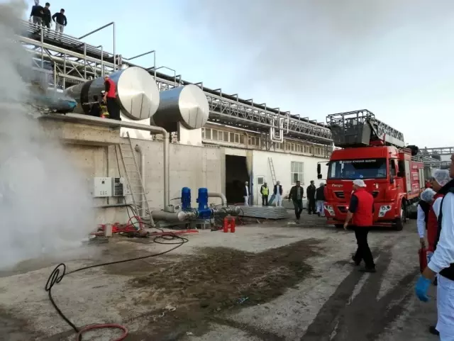 Süt fabrisasında yangın Süt fabrisasında yangın