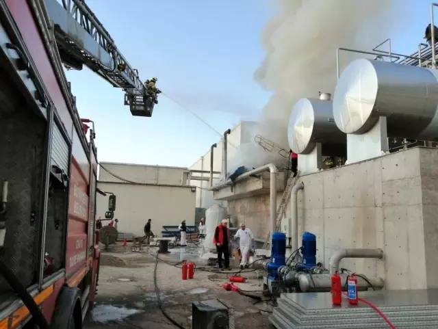 Süt fabrisasında yangın Süt fabrisasında yangın