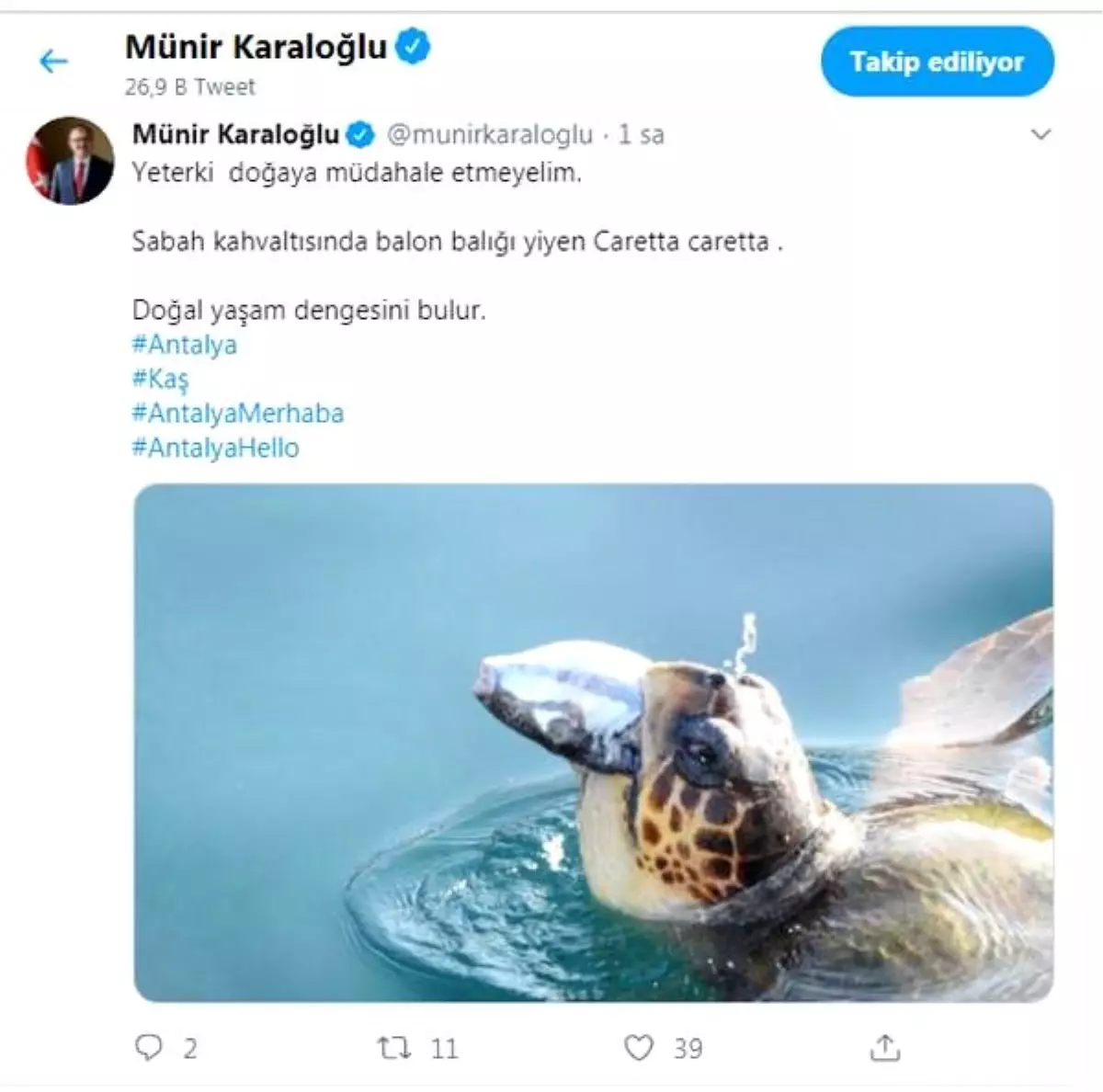 Vali Karaloğlu'ndan balon balığı yiyen caretta caretta paylaşımı