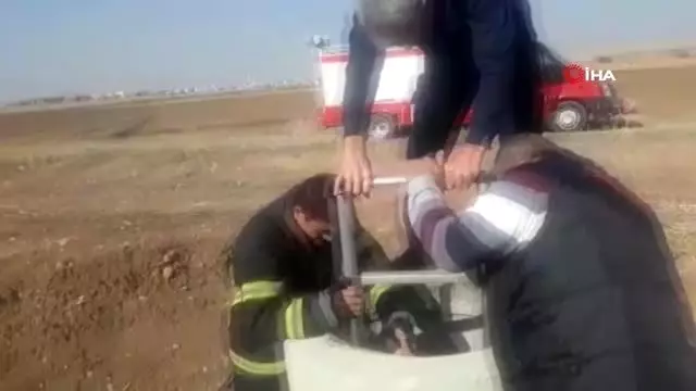 Mardin'de 5 köpek yavrusunu çuvala koyup lağım çukuruna attılar Mardin'de 5 köpek yavrusunu çuvala koyup lağım çukuruna attılar