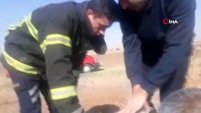 Mardin'de 5 köpek yavrusunu çuvala koyup lağım çukuruna attılar Mardin'de 5 köpek yavrusunu çuvala koyup lağım çukuruna attılar