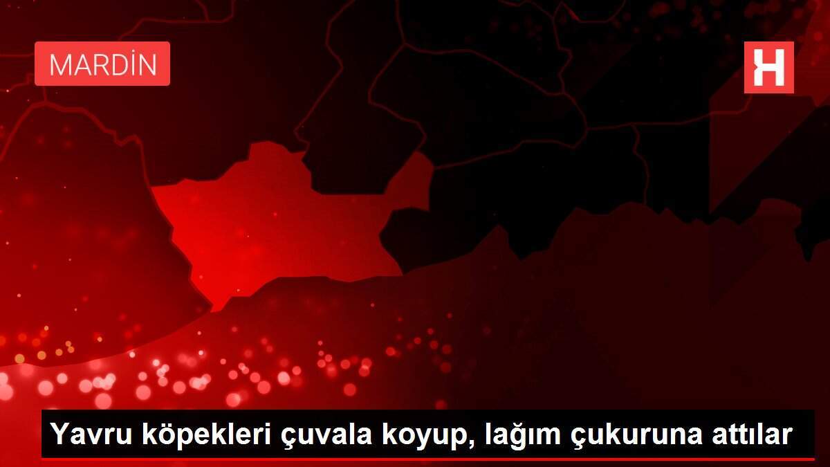 Yavru köpekleri çuvala koyup, lağım çukuruna attılar