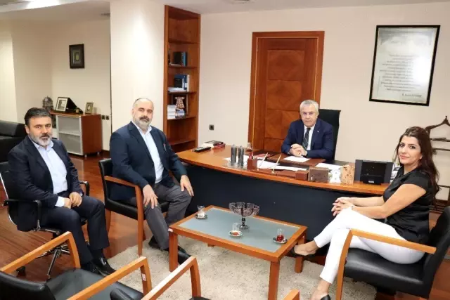 3 şirket