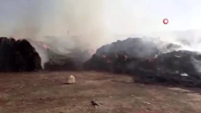 30 bin ot balyası yangında kül oldu