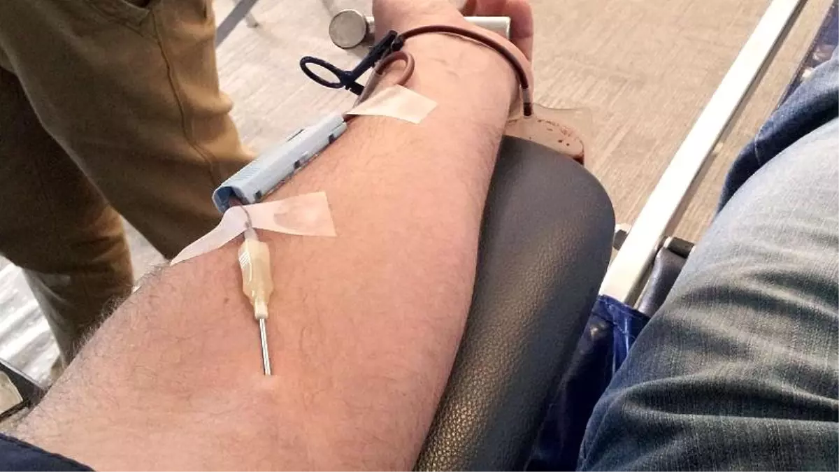 Almanya'da eş cinsellerin kan vermesini kolaylaştıracak kanun tasarısı teklif edildi