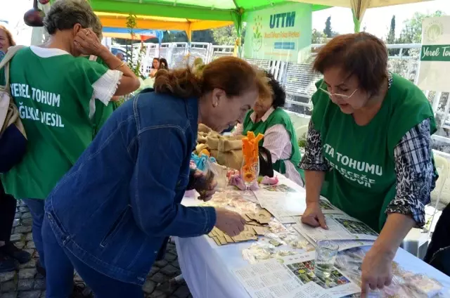Didim'de ilk kez Tohum Takas Şenliği düzenlendi