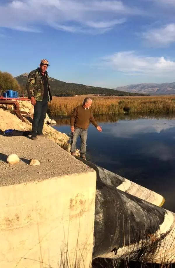 Eğirdir Gölü'nü kurutan borular Eğirdir Gölü'nü kurutan borular