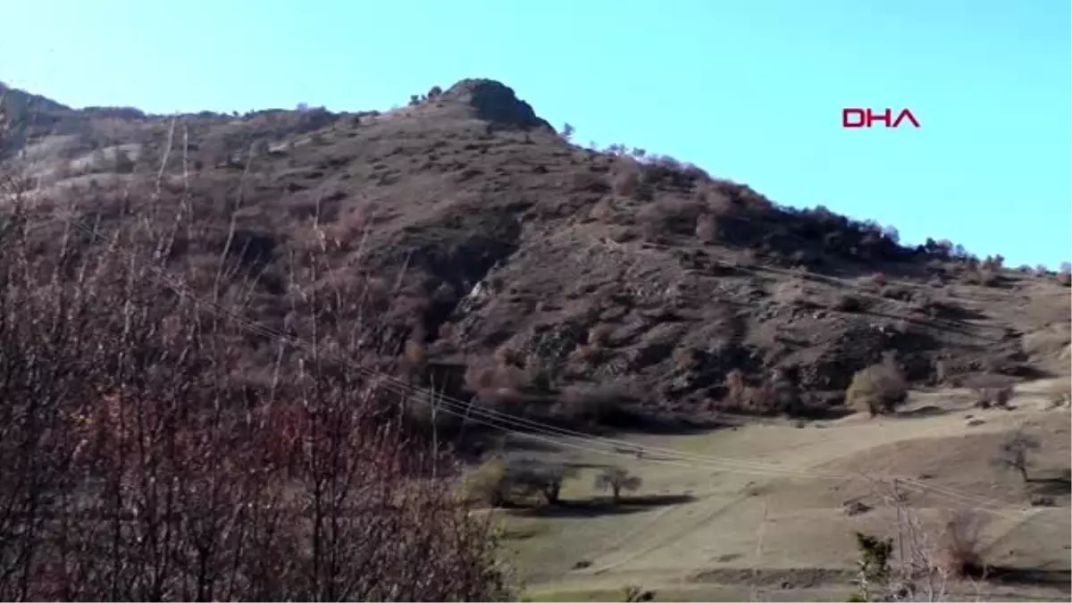 Erzurum -ayı saldırısından kurtaran köpekleri için keçi kesti