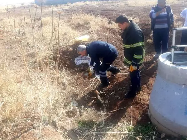 Mardin'de 5 köpek yavrusunu çuvala koyup lağım çukuruna attılar