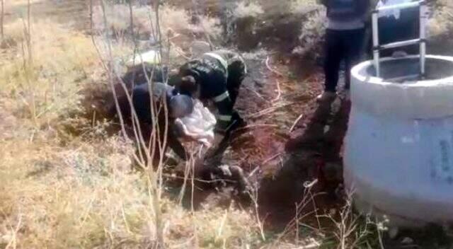 Mardin'de 5 köpek yavrusunu çuvala koyup lağım çukuruna attılar