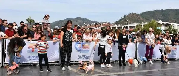 Marmaris'te köpekler güzellik ve yetenekleri için yarıştırıldı
