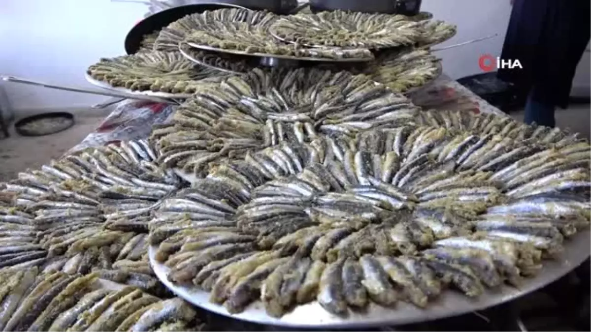 Ordu'daki hamsi şenliğinde 1 buçuk ton hamsi tüketildi