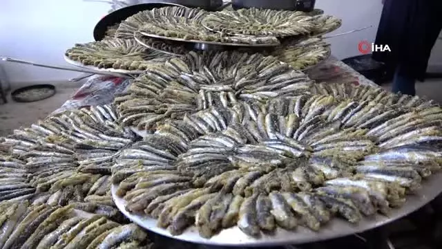 Ordu'daki hamsi şenliğinde 1 buçuk ton hamsi tüketildi