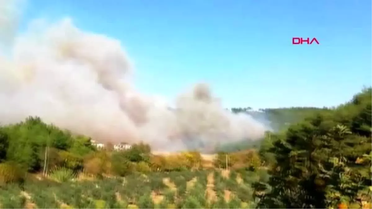 Osmaniye'de orman yangını