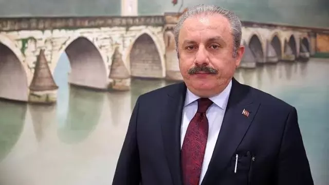 TBMM Başkanı Şentop, Adalar'da elektrikli ulaşım araçlarına geçileceğini duyurdu