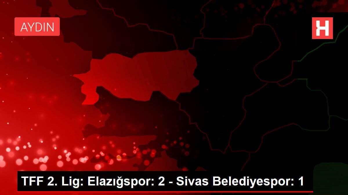 TFF 2. Lig: Elazığspor: 2 - Sivas Belediyespor: 1