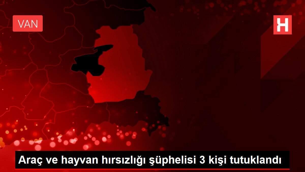 Araç ve hayvan hırsızlığı şüphelisi 3 kişi tutuklandı