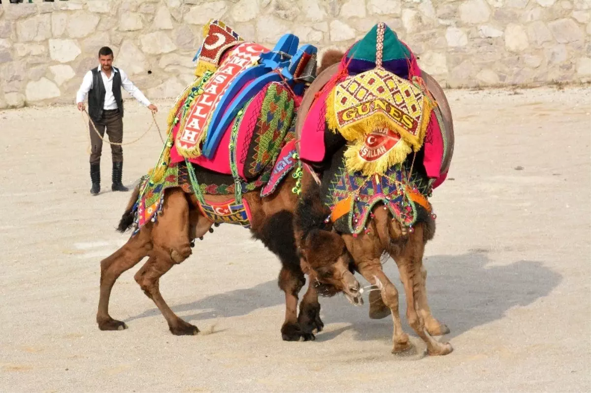 Ayvacık'ta 'havut hayrı'