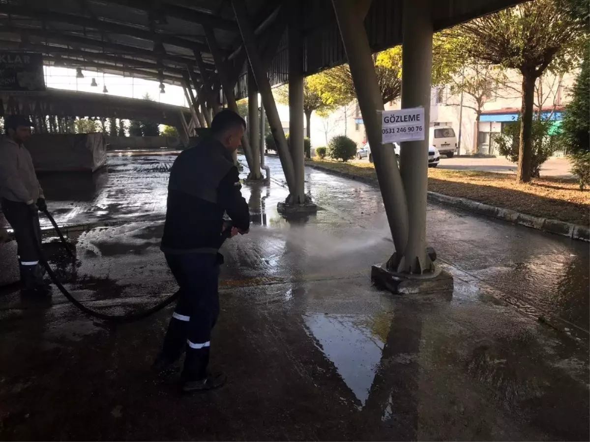 Düzce tertemiz olacak