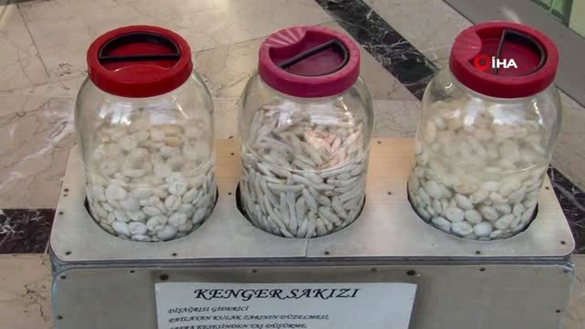 Kenger sakızının kilogram fiyatı 800 lirayı gördü