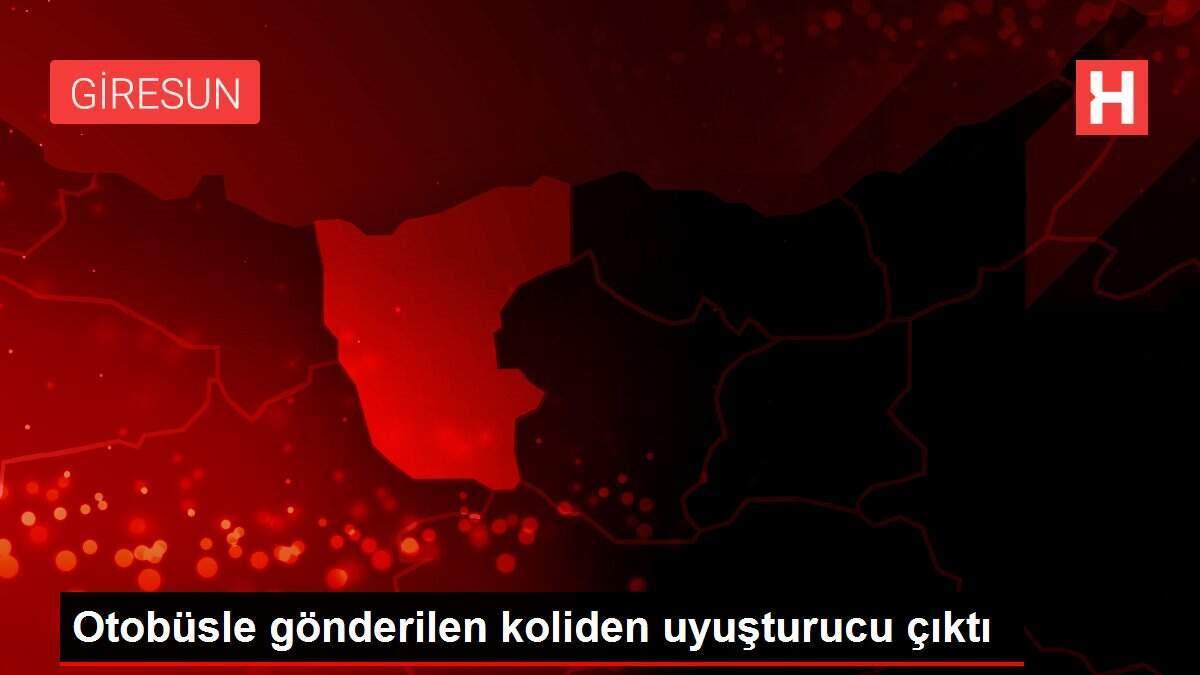 Otobüsle gönderilen koliden uyuşturucu çıktı