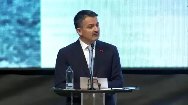 Pakdemirli: