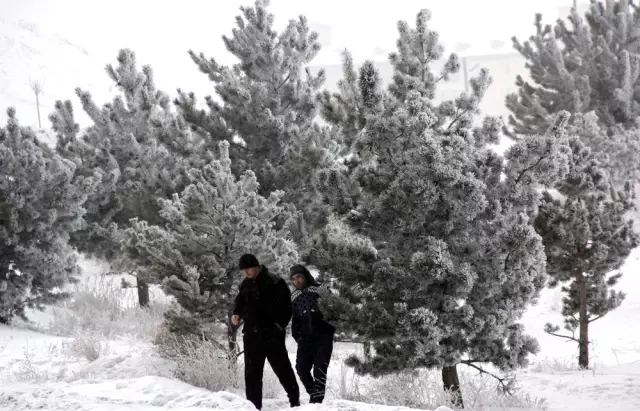 Doğu Anadolu'da soğuk hava: Göle - 14