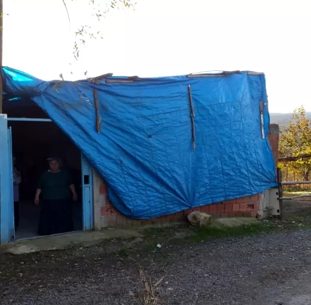Harabe durumdaki evde yaşam mücadelesi Haberler