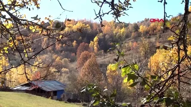 Karadeniz'de havalar soğudu, köyler sessizliğe büründü Karadeniz'de havalar soğudu, köyler sessizliğe büründü