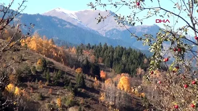 Karadeniz'de havalar soğudu, köyler sessizliğe büründü Karadeniz'de havalar soğudu, köyler sessizliğe büründü