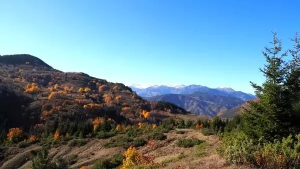 Karadeniz'de havalar soğudu, köyler sessizliğe büründü Karadeniz'de havalar soğudu, köyler sessizliğe büründü