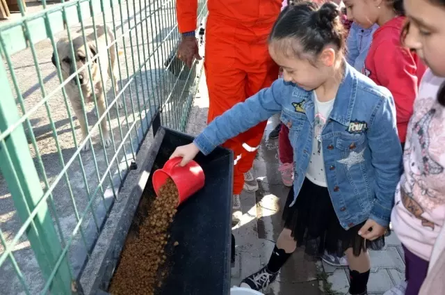 Miniklerin biriktirdikleri harçlıkları sokak hayvanlarına mama oldu