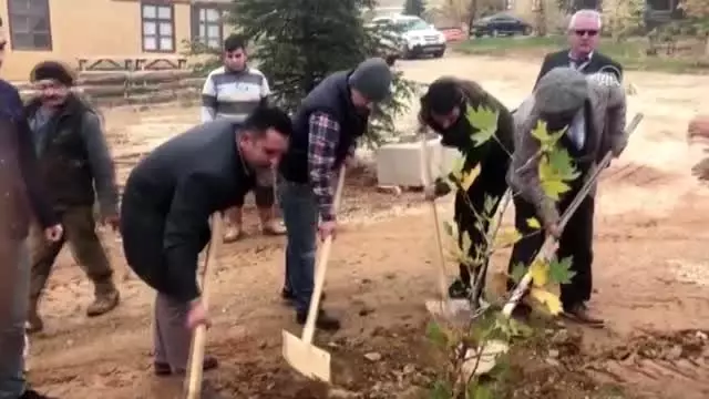 Sanatçıların köyünde, Yıldız Kenter için çınar fidanı dikildi - KONYA Sanatçıların köyünde, Yıldız Kenter için çınar fidanı dikildi - KONYA
