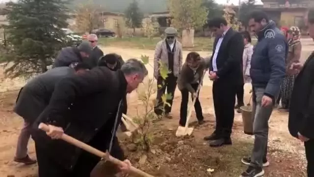 Sanatçıların köyünde, Yıldız Kenter için çınar fidanı dikildi - KONYA