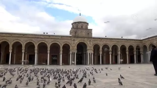 Tunus'taki Zeytune Camisi Tunus'taki Zeytune Camisi