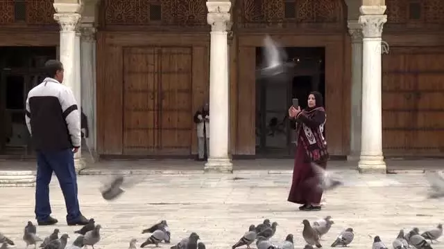 Tunus'taki Zeytune Camisi Tunus'taki Zeytune Camisi