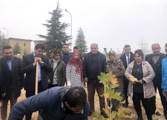 Yıldız Kenter'in ismi sanatçıların köyünde yaşatılacak
