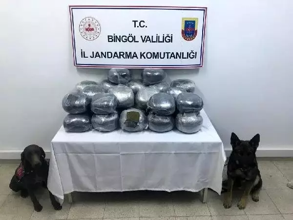 Bingöl'de 60 kilo esrar ele geçirildi