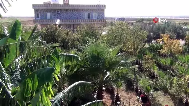 Burası Antalya değil, Kızıltepe Burası Antalya değil, Kızıltepe