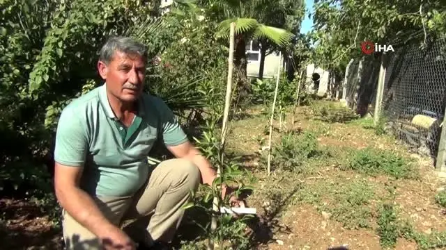 Burası Antalya değil, Kızıltepe Burası Antalya değil, Kızıltepe